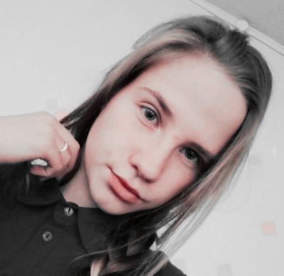 Описание изображения